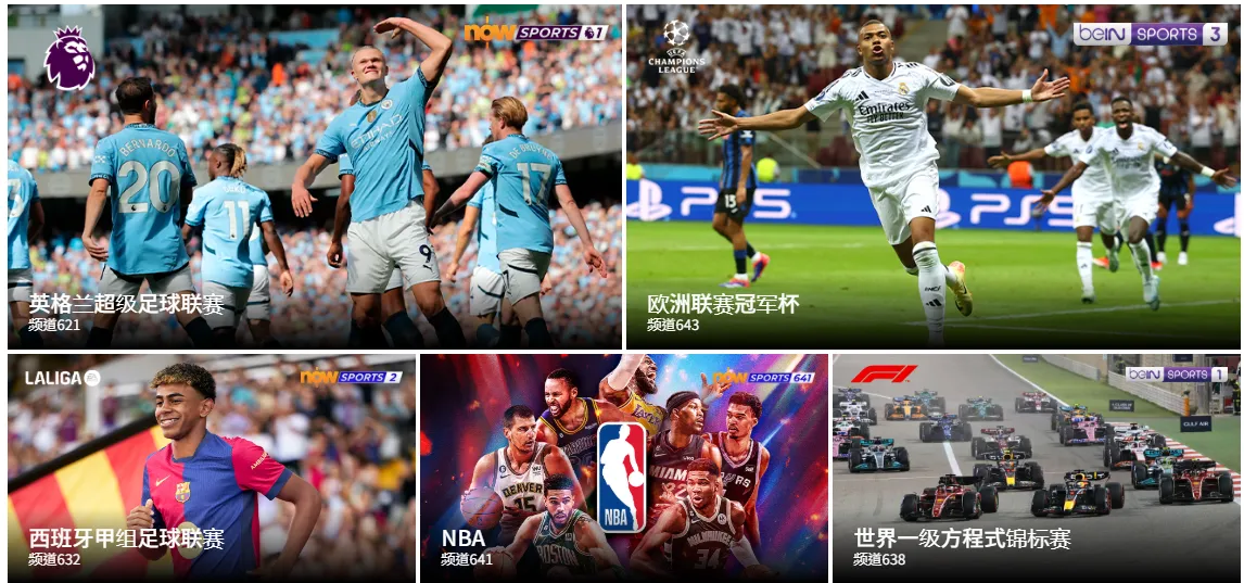 1755505194286181.png 1755505194286181.png